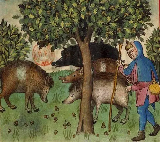 É𝐥𝐞𝐯𝐞𝐮𝐫